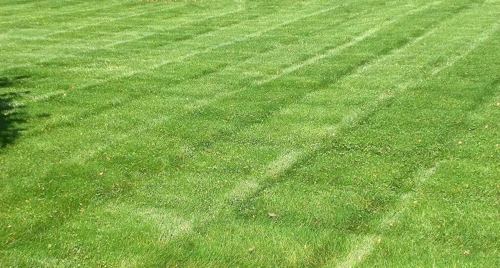 Why Mowing Patterns Cause Ruts