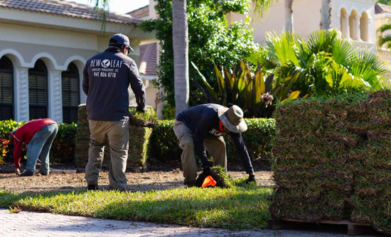 how-to-fix-uneven-sod