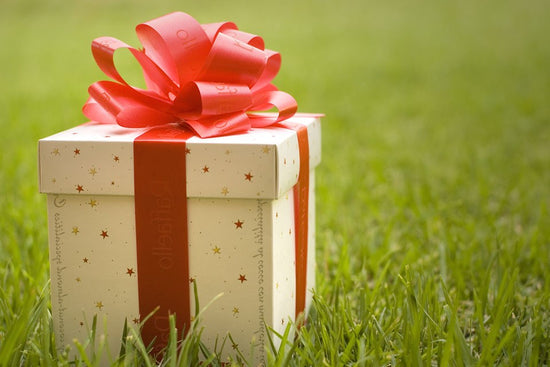 how-to-get-lawn-ready-for-christmas