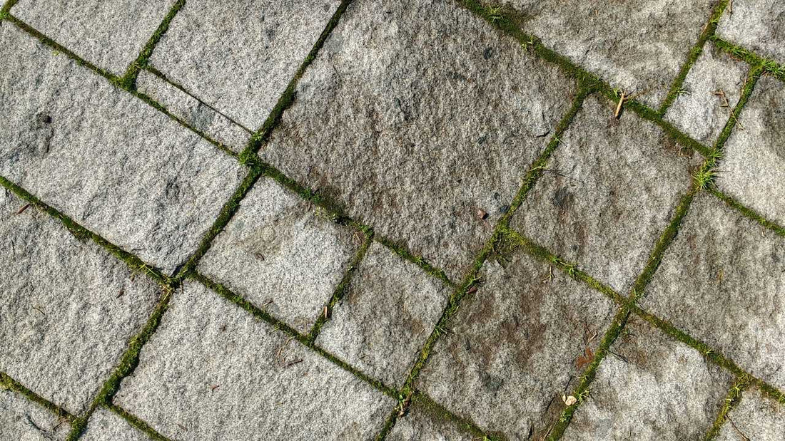 how-to-maintain-hard-surfaces-on-your-lawn