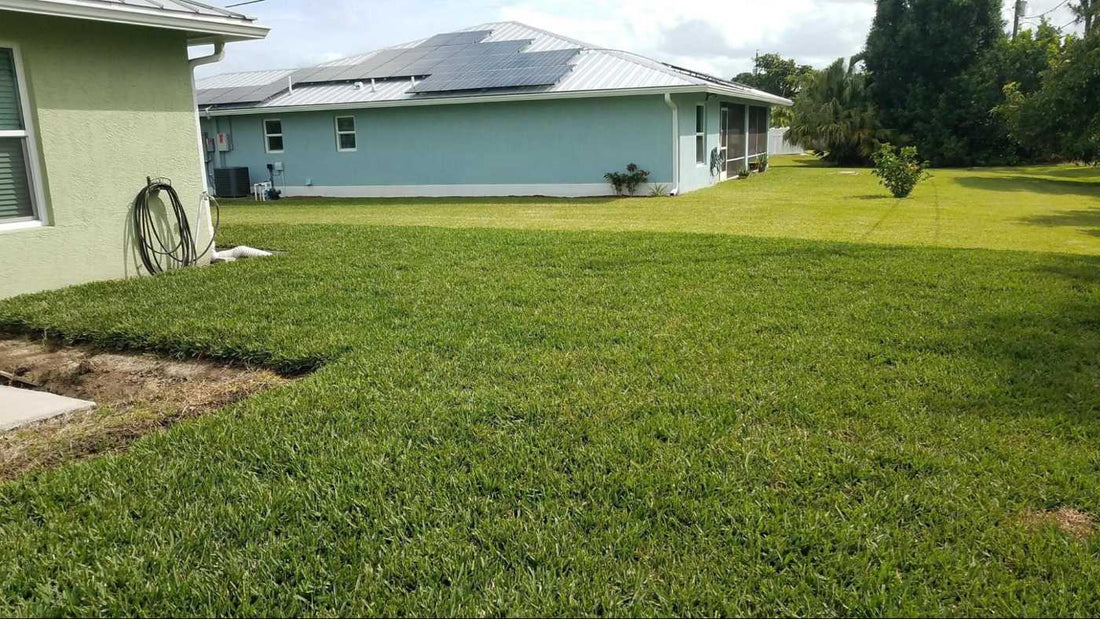 how-to-prevent-soil-erosion