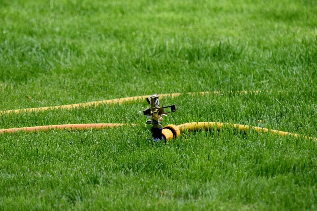 how-to-water-your-lawn