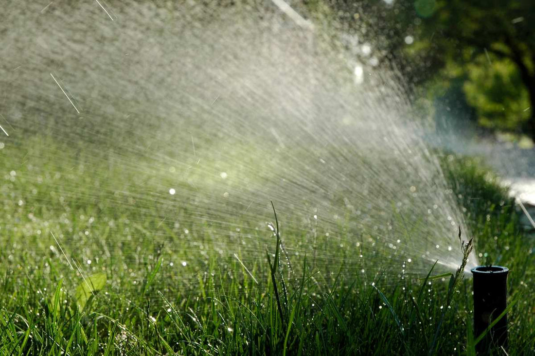 laying-sod-water-restrictions-florida