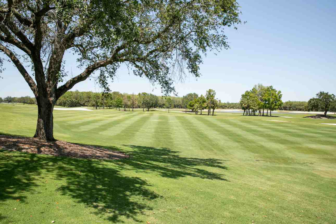 mixing-grass-varieties-in-lawns