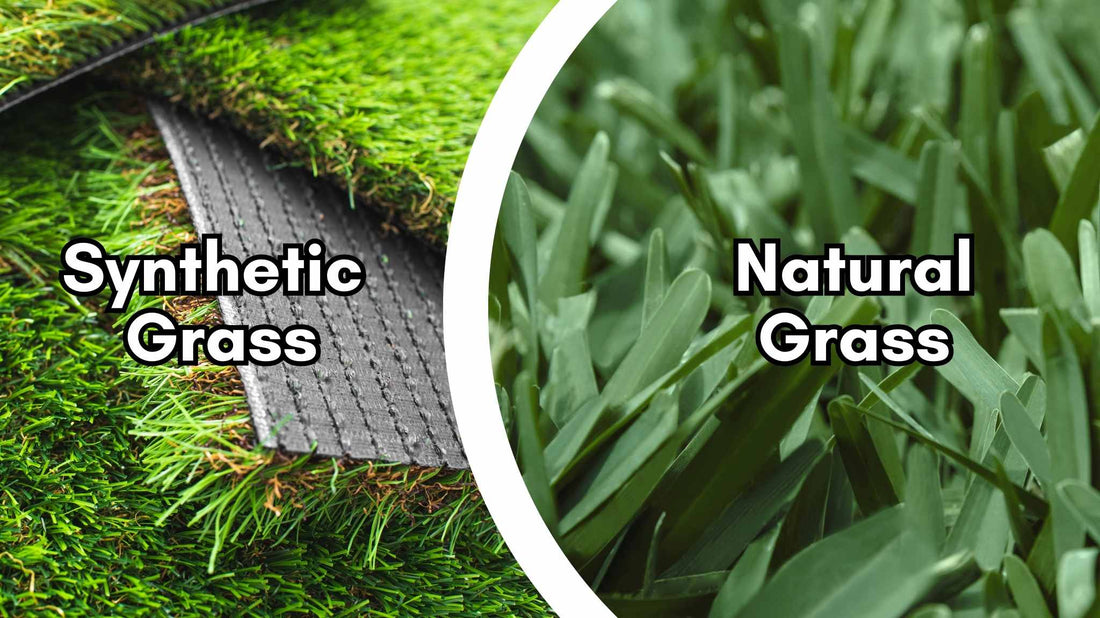 Grass vs. Turf: The Great Green Debate and Why Natural Grass Takes the Crown