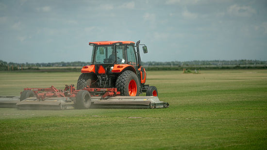 new-grass-varieties-bethel-farms