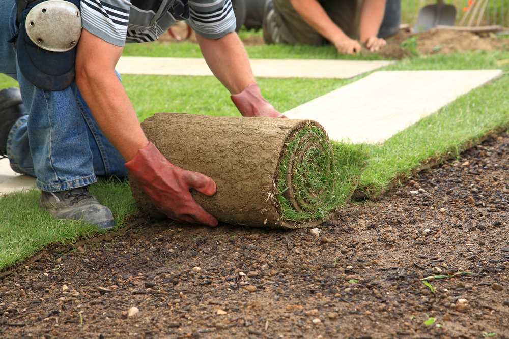 watering-new-sod-installation