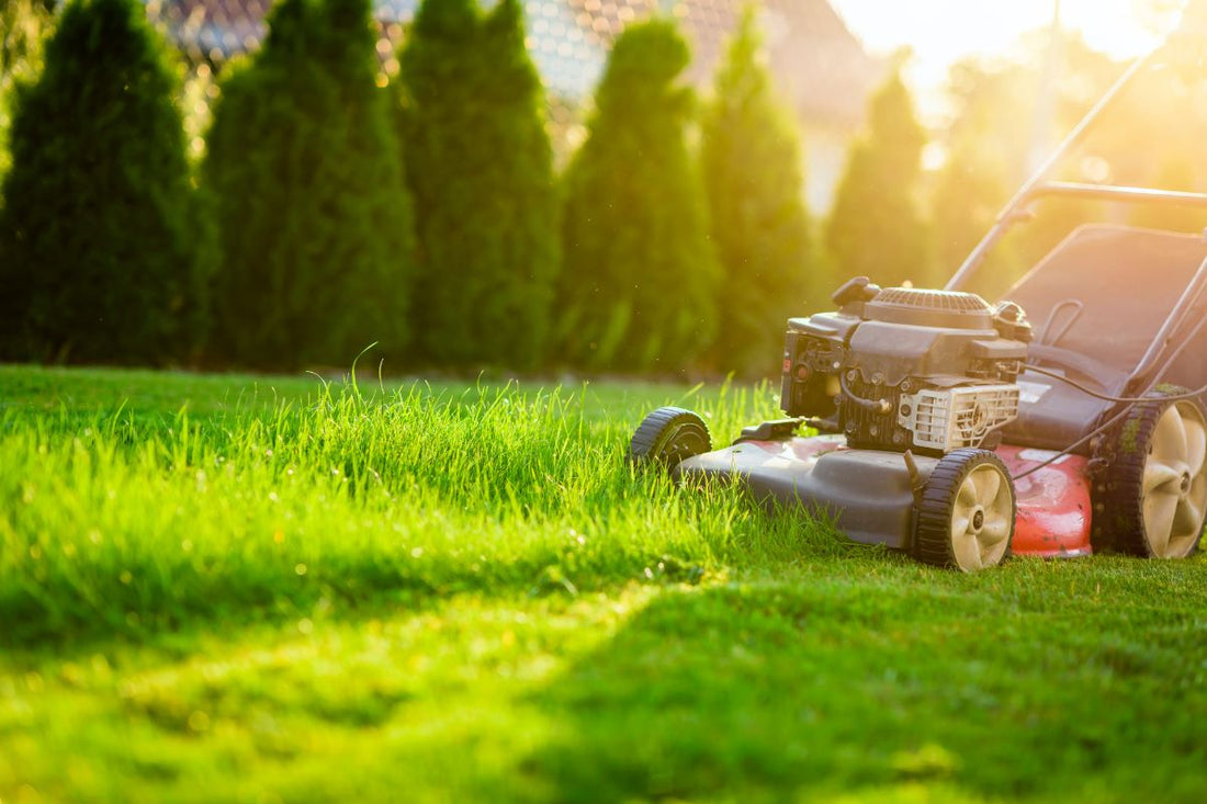 push-vs-riding-mower-which-is-best-for-your-lawn-size