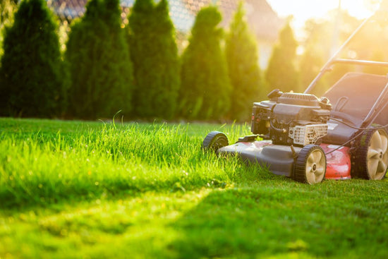push-vs-riding-mower-which-is-best-for-your-lawn-size