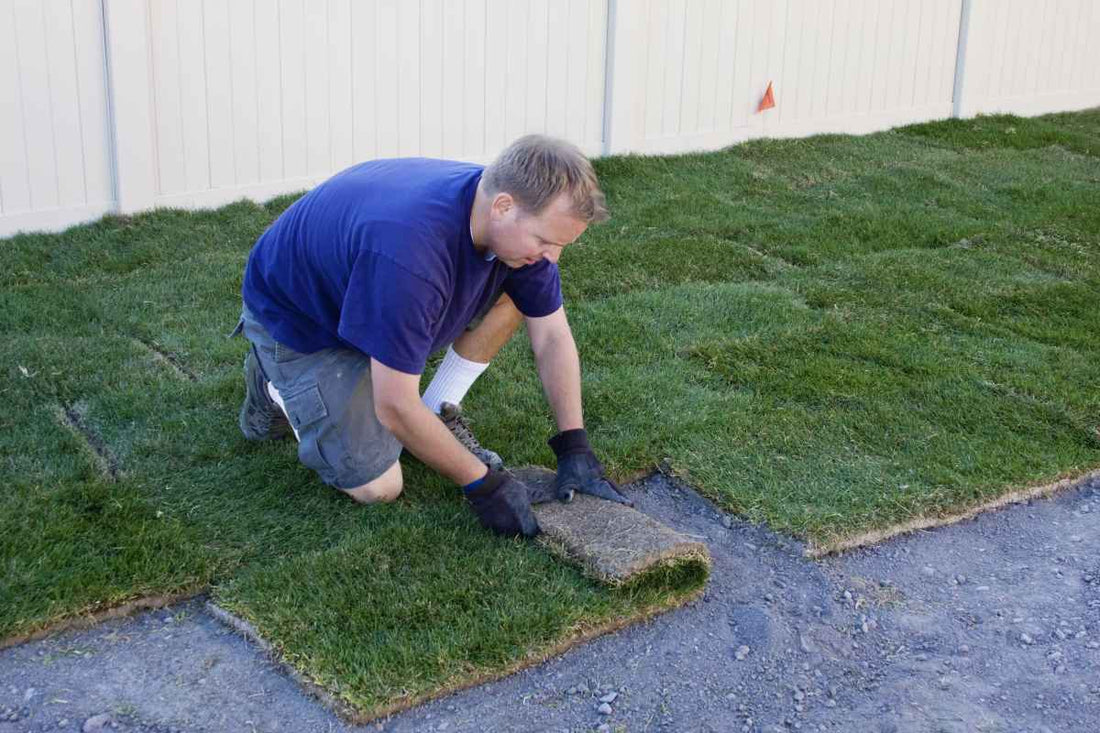 sod-installation-checklist