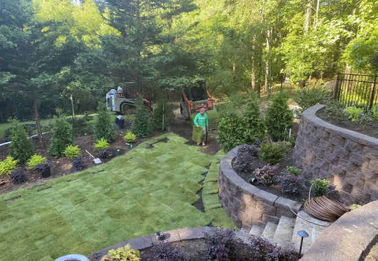 sod-shrinkage-how-to-fix-gaps-in-sod