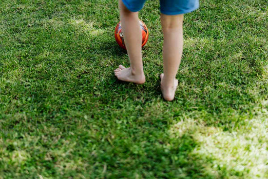 soft-grass-type-for-lawns