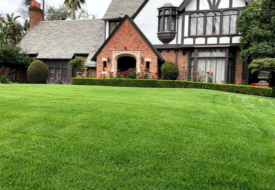 types-of-zoysia-grass-florida