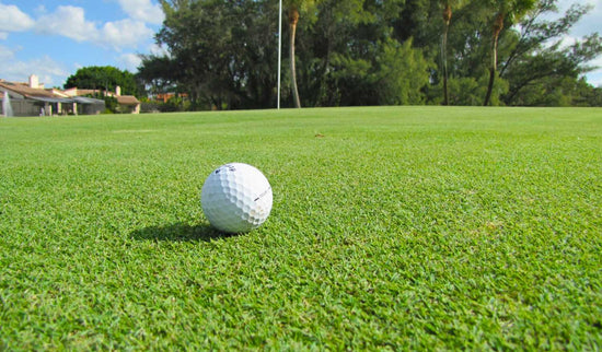 what-grass-golf-courses-use