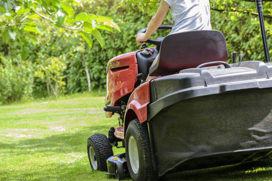 what-is-the-most-low-maintenance-grass