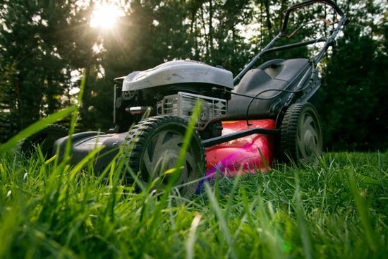 worst time to mow lawn