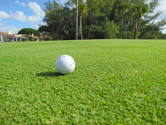 Bimini® Bermuda Grass