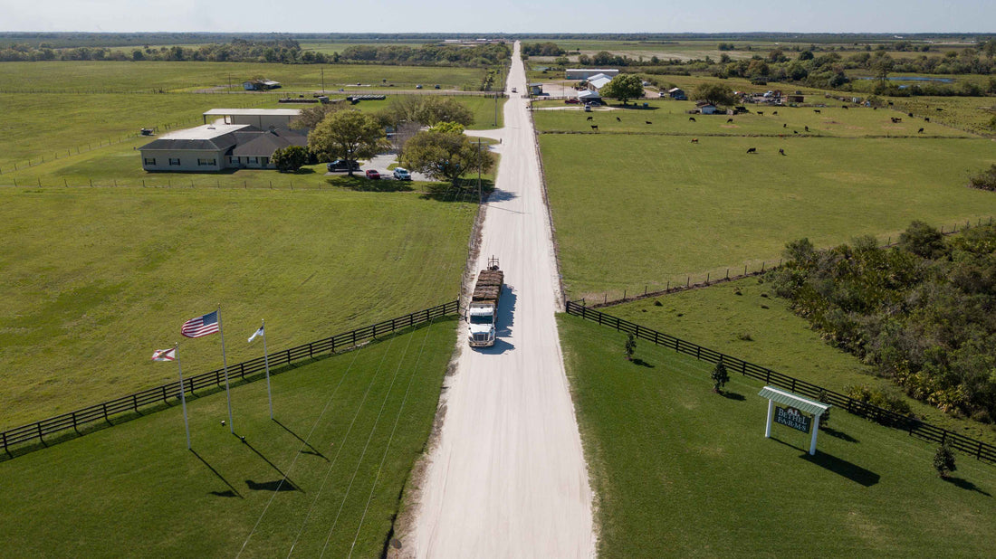 Bethel Farms Locations Natural Grass For Sale