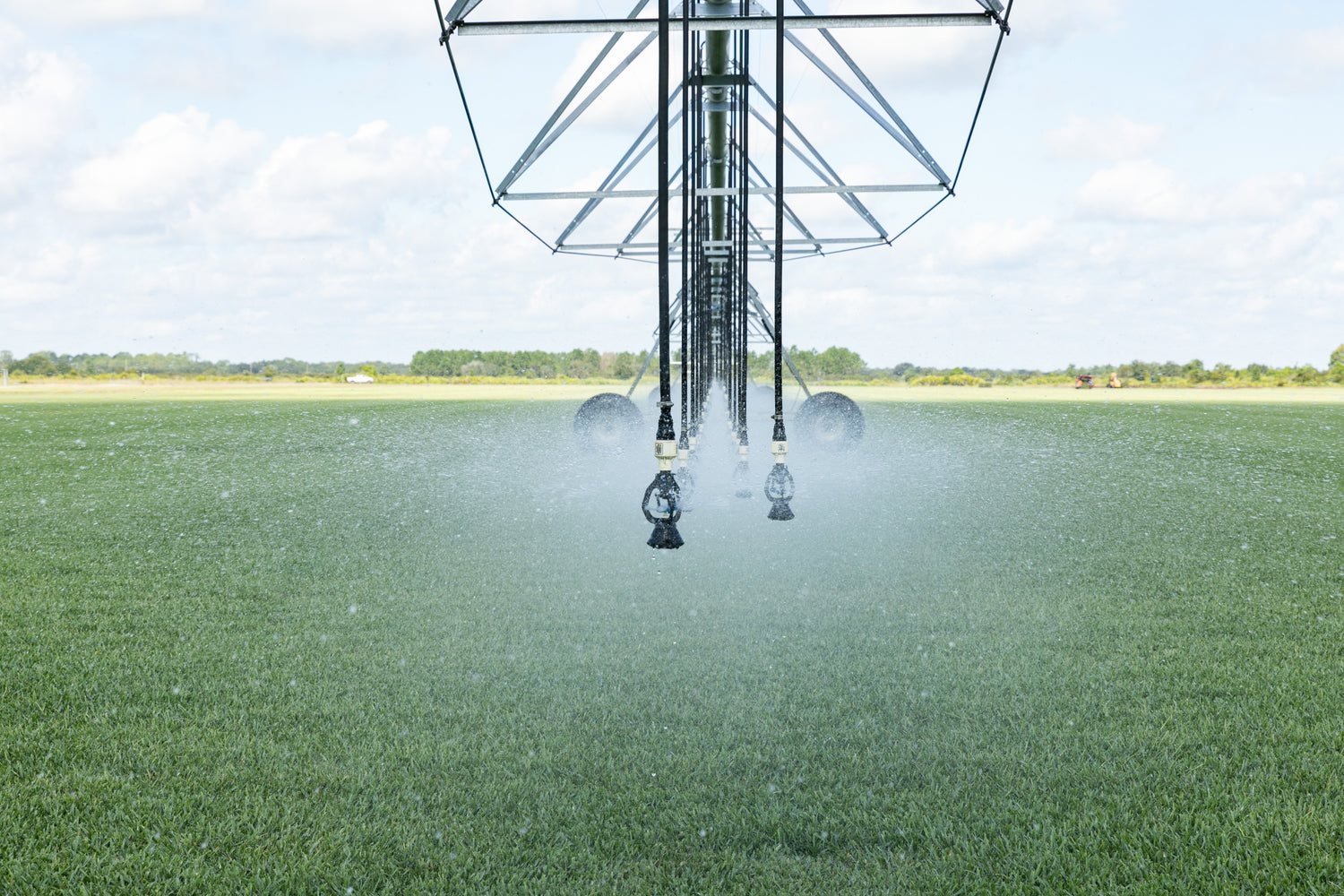 <p>We save on water through our irrigation systems. Our system allows us to flow the water underground, which saves tremendous amounts of water waste. An open irrigation system wastes 30%-40% more water than our underground water tile system.</p>