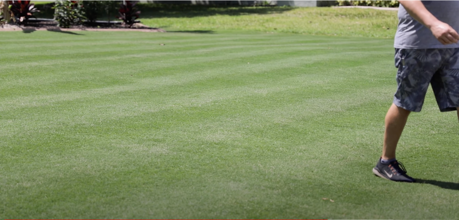 <p>Brett showcases the benefits of BIMINI ® on his lawn. You can be the envy of the neighborhood too with BIMINI®.</p>