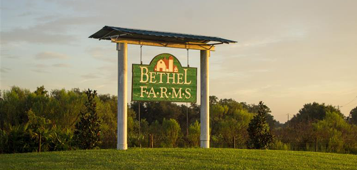 Describe the video for customers using screen readers