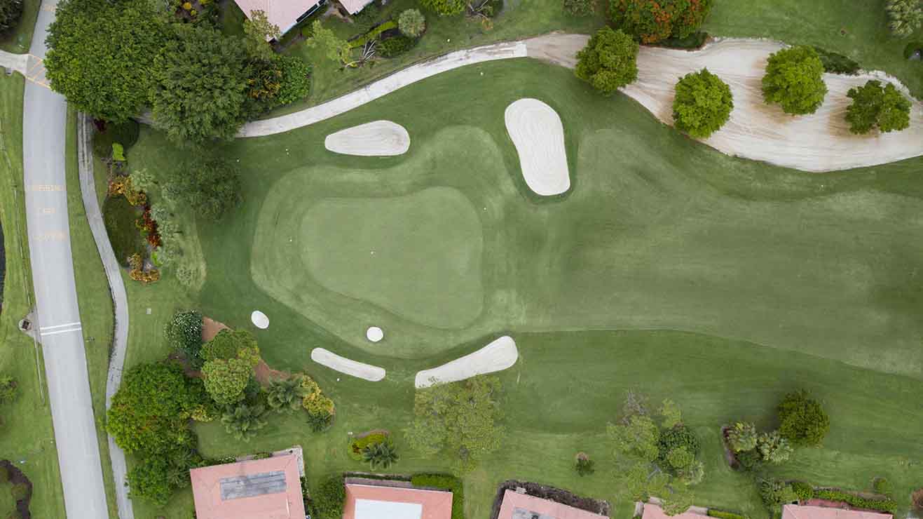 <p>BIMINI® Bermuda is Bethel’s proprietary grass and has taken the Florida market by storm. It has quickly become the most sought-after sports turf grass. What makes BIMINI® different is its dense root system and rhizomes. These allow it to withstand traffic and hold onto a deep green color</p>