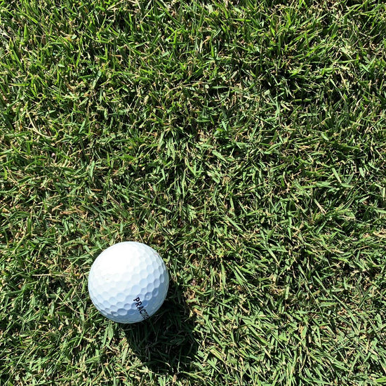 Durban Seashore Paspalum