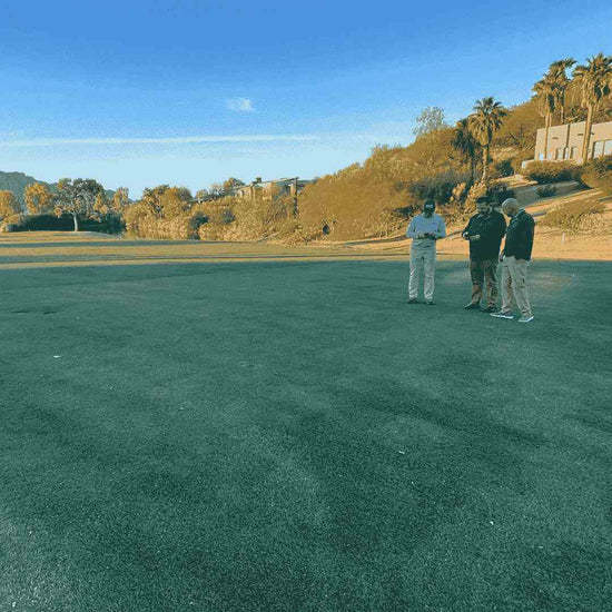 Gateway™ Zoysiagrass