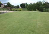 small photo of garden with natural grass