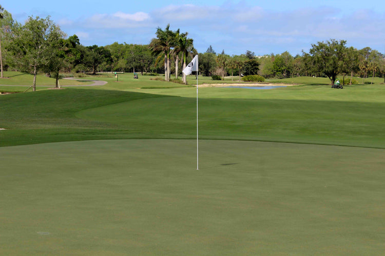 bethel farms golf course grass